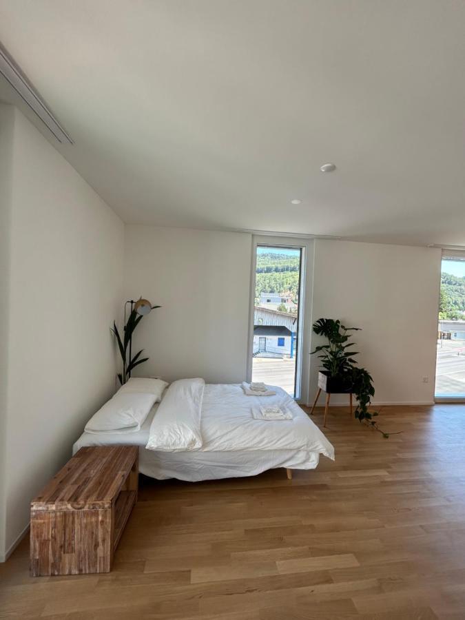 The R Apartment Passwang, Klima, Neu, Balkon, Parking Balsthal Luaran gambar