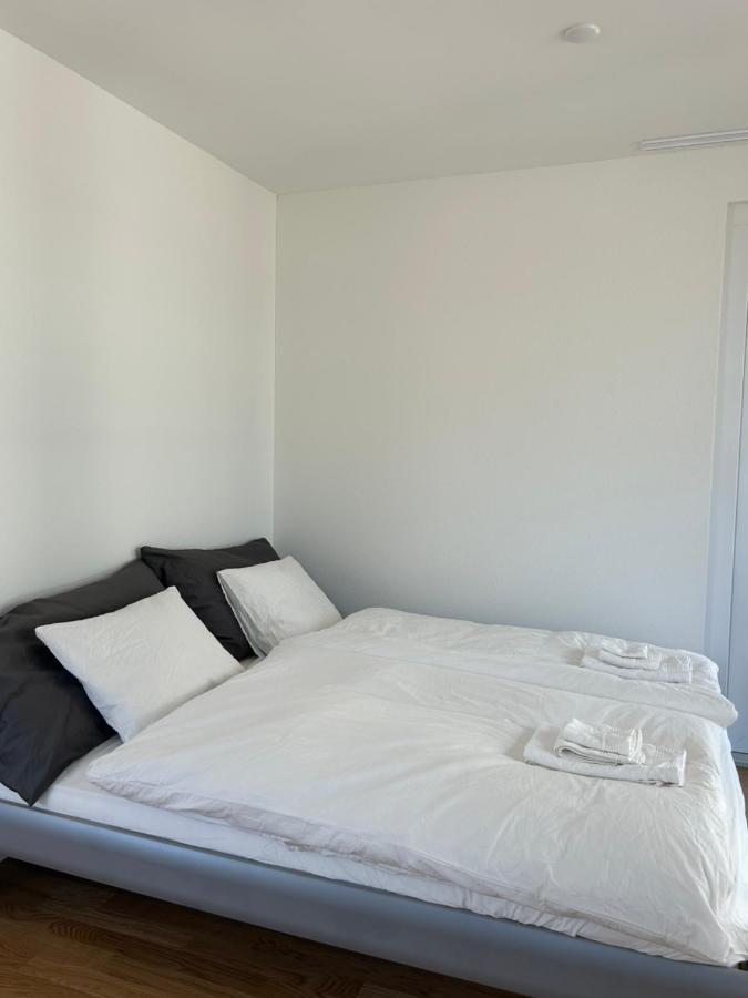 The R Apartment Passwang, Klima, Neu, Balkon, Parking Balsthal Luaran gambar
