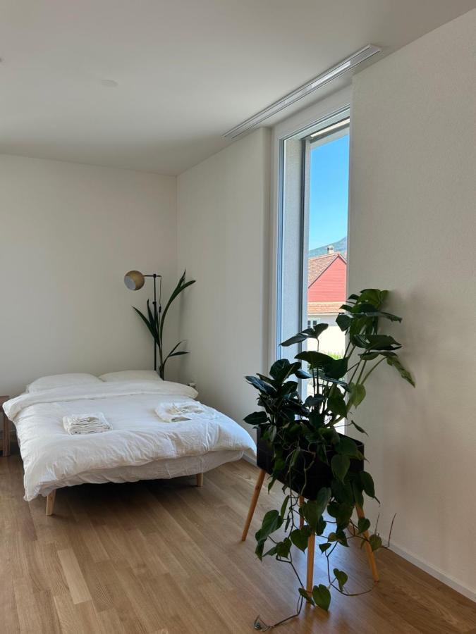 The R Apartment Passwang, Klima, Neu, Balkon, Parking Balsthal Luaran gambar