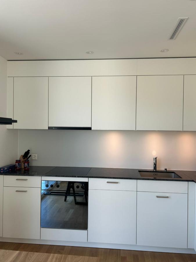 The R Apartment Passwang, Klima, Neu, Balkon, Parking Balsthal Luaran gambar